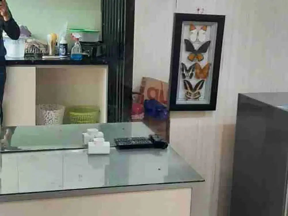 Educity Stanford Pakuwon city full furnish