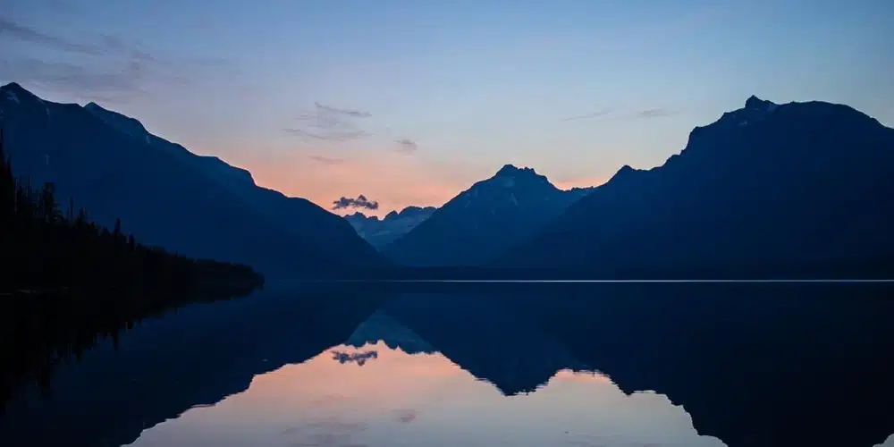 STAFF OPERASIONAL TOKO