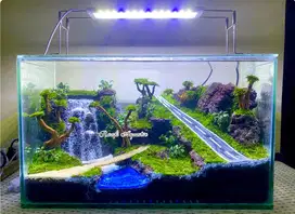 Aquascape terbaru kece 2024