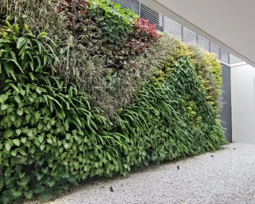 Taman vertical Gardenn vertikal taman dinding