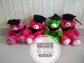 Boneka Wisuda Pakai Toga