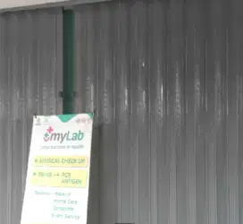 Folding gate rolling door