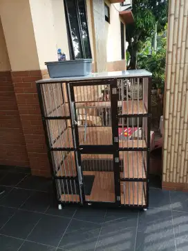 Kandang kucing kebayoran baru