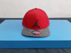 Original Air Jordan Snapback Red Elephant Print