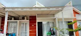 KANOPI Alderon single 4