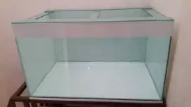 akuarium aquarium