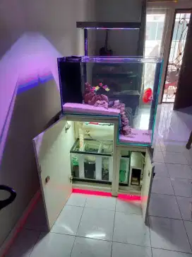 Aquarium dropoff tank