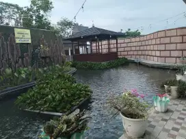 Ruko 4 & Vila kolam ikan mas Di jalan palima