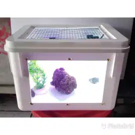 Kandang plus lampu box reptil serangga hamster kodok katak gerbil kura