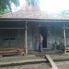 Bahan rumah joglo kayu nangka lawas