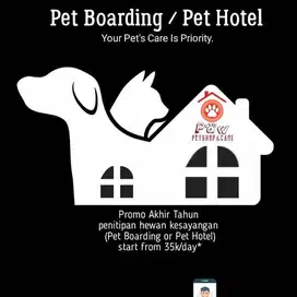 grooming kucing pakuwon city