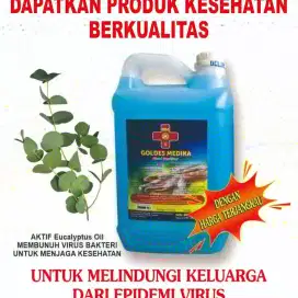 Disinfektan 5ltr Goldes