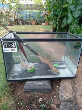 Akuarium 3 biji