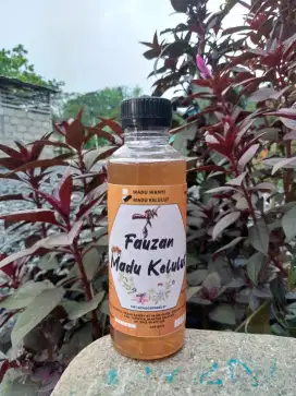 Madu kelulut/Trigona (Heterotrigona Itama) 250 ml