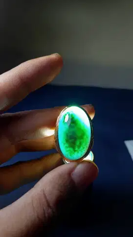Bacan doko coklat merah jumbo HQ