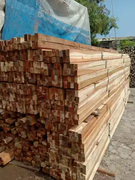 jual kayu kaso dan bambu steger