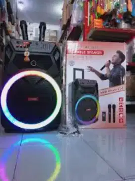 Jual portabel 12in+2 mic wireless