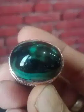 Bacan Doko totol coklat jenong ring bonus