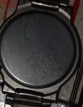 Citizen platinum