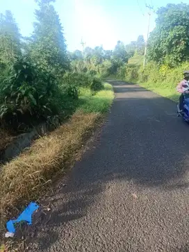 Tanah sangat datar jalan besar