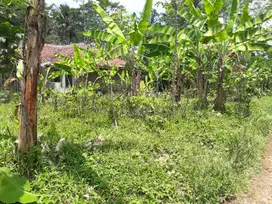 BU DIJUAL TANAH SUBUR DI CIKEMBAR SUKABUMI (AKSES LEWAT MOBIL)