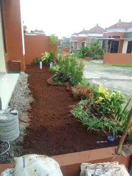 Jasa pembuatan taman murah