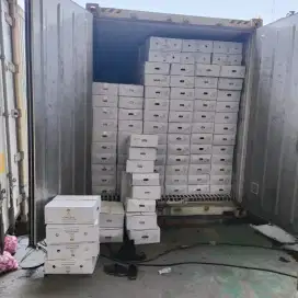 Jasa Import Undername Resmi