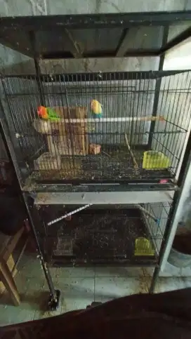 Jual kandang ternak Lovebird ,Tambun Selatan