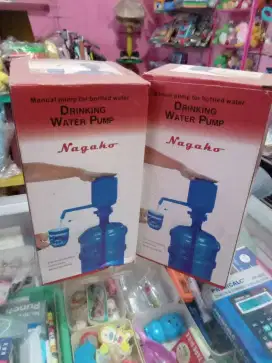 Drinking water pump