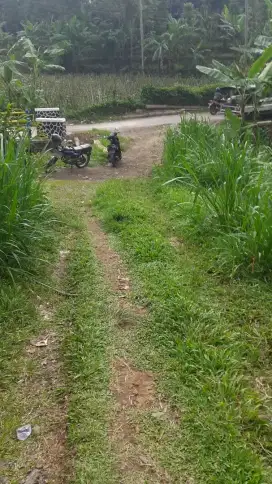 Kebun 5 Hektar Ciater Subang