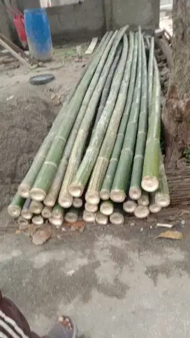 Jual bambu steger diameter 7/8