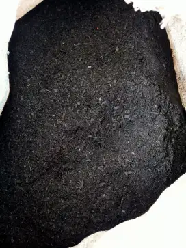 Jual Serbuk arang Batok kelapa