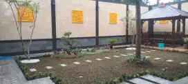 Tukang rumput gajah mini & aneka jenis rumput hias taman