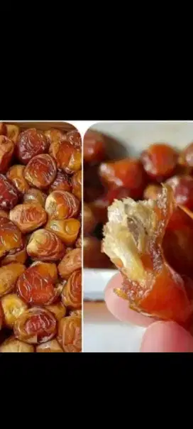 Kurma Sukari Nikmatnya Santapan Sejuta Kesan