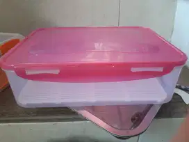 Container Pink 28x22cm