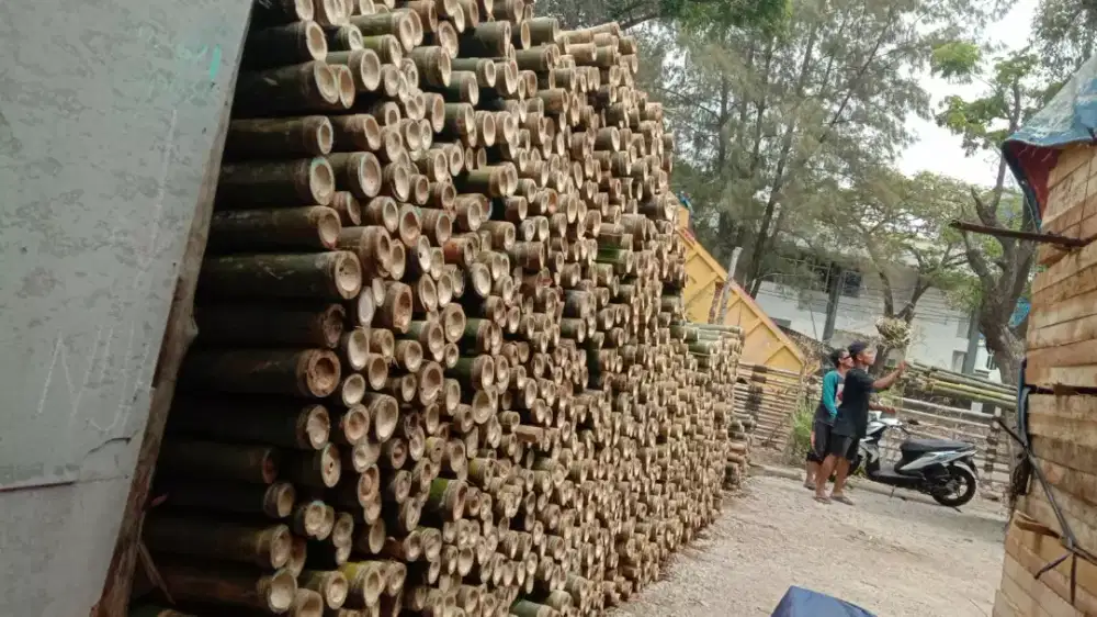 jual bambu steger dan kayu kaso