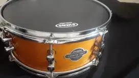 Snare Sonor essential force birch