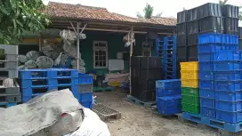 Jual beli palet plastik dan box container bekas dan baru