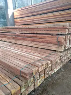 Kayu Jambi Meranti (MC)