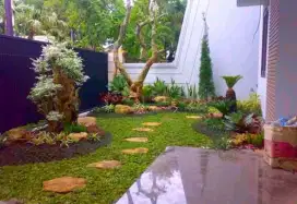 Pembuatan taman kolam batu sikat ampyangan surabaya, sidoarjo, gresik