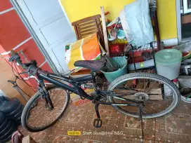 Sepeda dewasa second