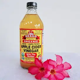 Bragg Organic Raw Apple Cider Vinegar ACV (Cuka Apel) 16 oz 473 ml