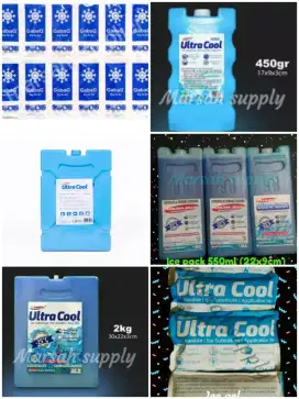 Dry ice / ice pack / ice gel / foam box