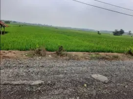 Sawah 1Ha zona industri Cibogo Subang