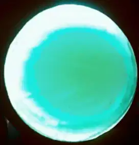 Batu Bacan Palamea Waringin Natural Bawaan