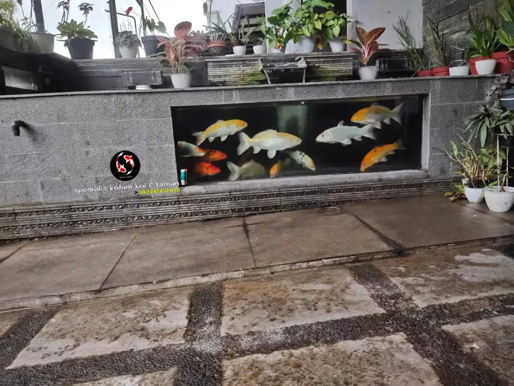 Kolam ikan koi mini