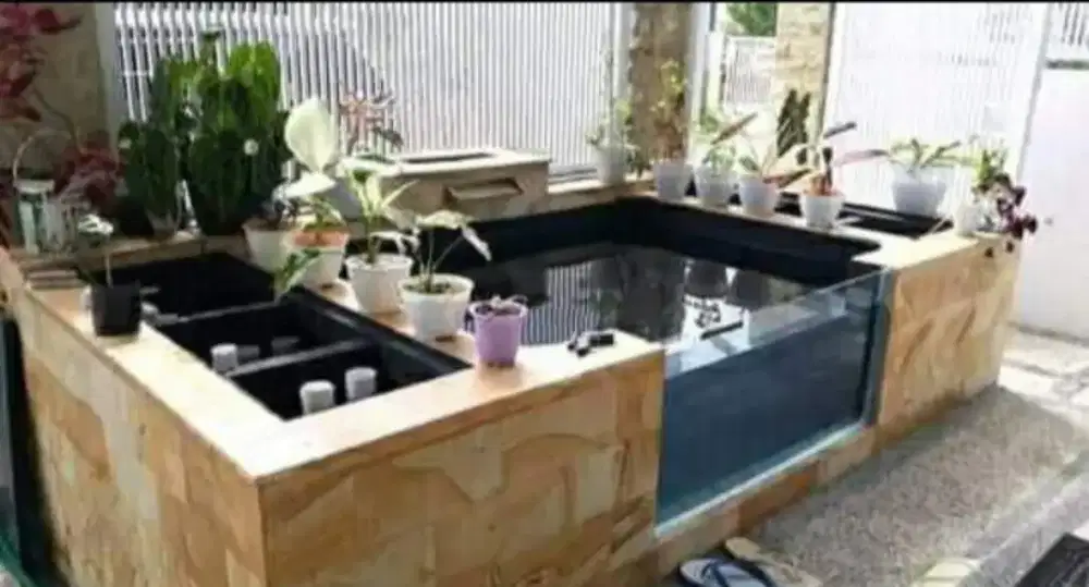 Kolam minimalis koi