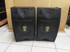 Speaker karaoke dwd 10 Inch