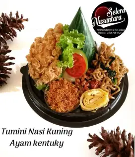 Tumini nasi kuning ayam kentucky