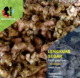 Lengkuas Laos Segar